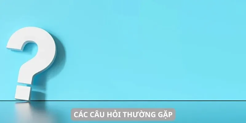 Các câu hỏi thường gặp