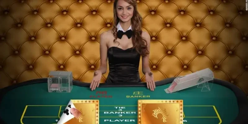 Chia bài casino là gì?