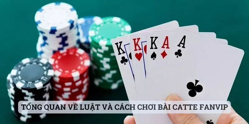 Tổng quan về luật và cách chơi bài catte Fanvip